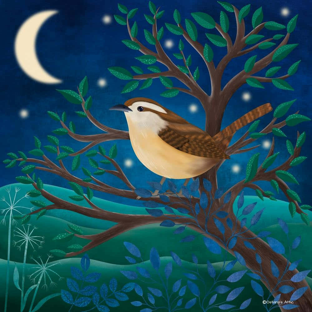 Jenny Wren Under A Crescent Moon Square