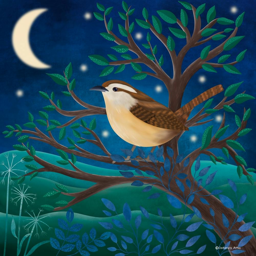 Jenny Wren Under A Crescent Moon Square