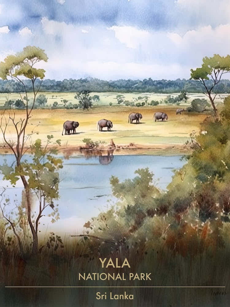 Yala National Park Sri Lanka Watercolour 3