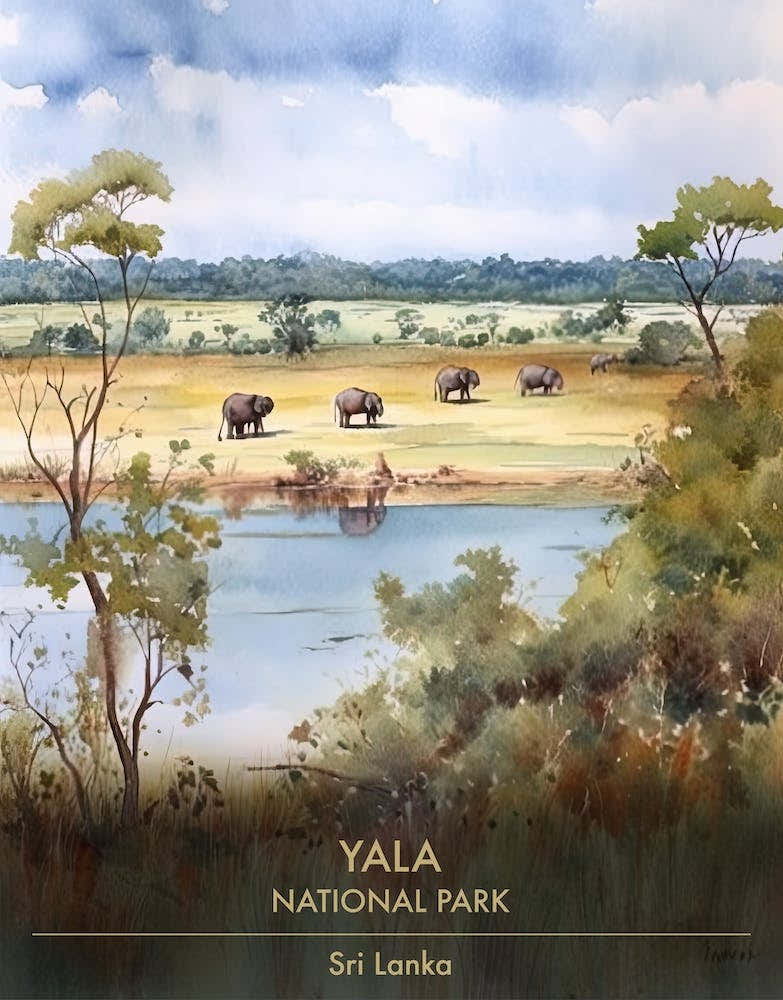 Yala National Park Sri Lanka Watercolour 3
