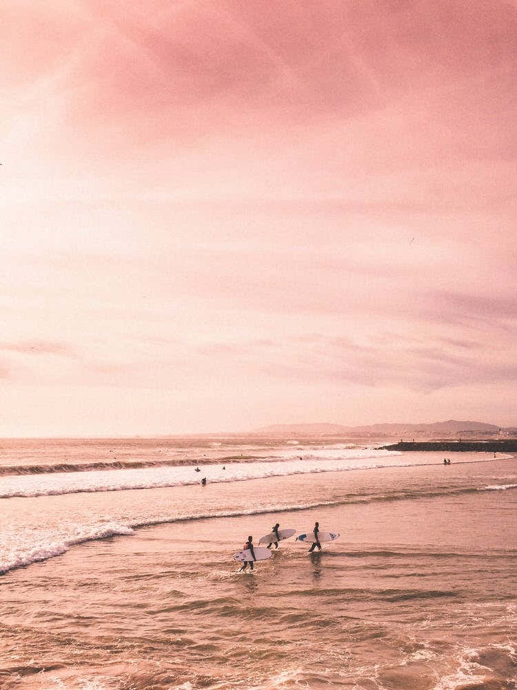 Surfers In Pink Beach