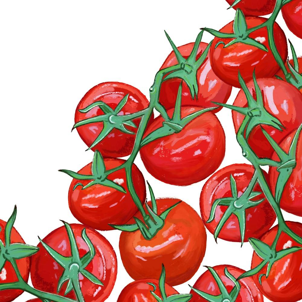 Tomatoes 1