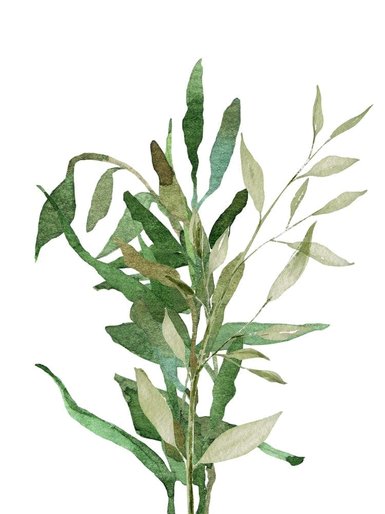 Ratio 3x4 27x36 Inch 1