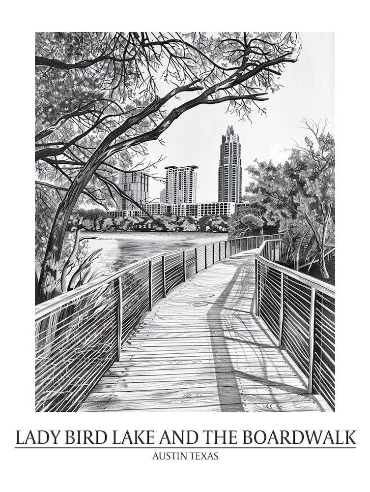 Lady Bird Lake And The Boardwalk Austin Texas Black And White Drawing 3 Poster