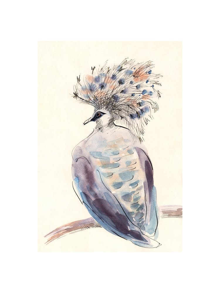 Crowned Pigeon
