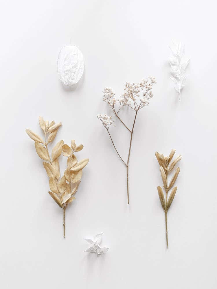 Stones And Branches 3