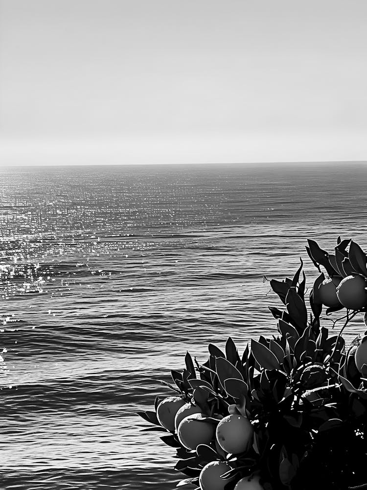 Black And White Photo 9