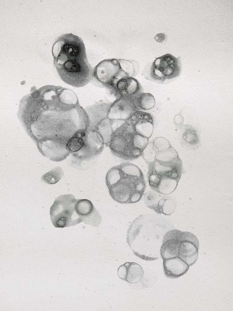 Aquarelle Bubbles Black