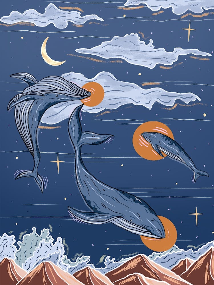 Fantasy Whale Starry Sky Illustration