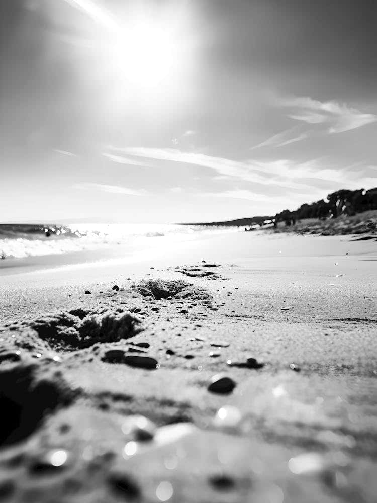 Black And White Beach 7