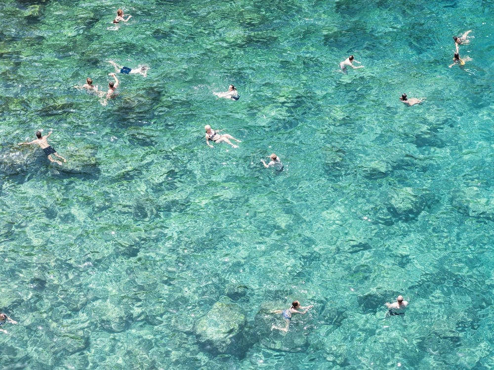 People Swimming In Turquoise Clear Water