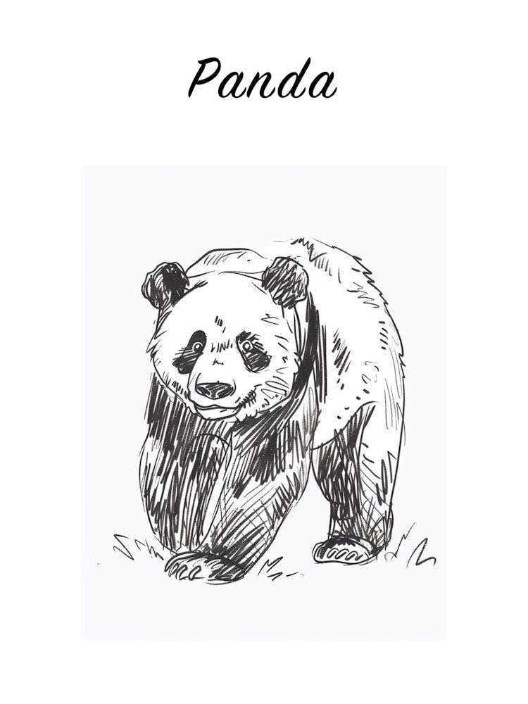 B&W Panda Poster