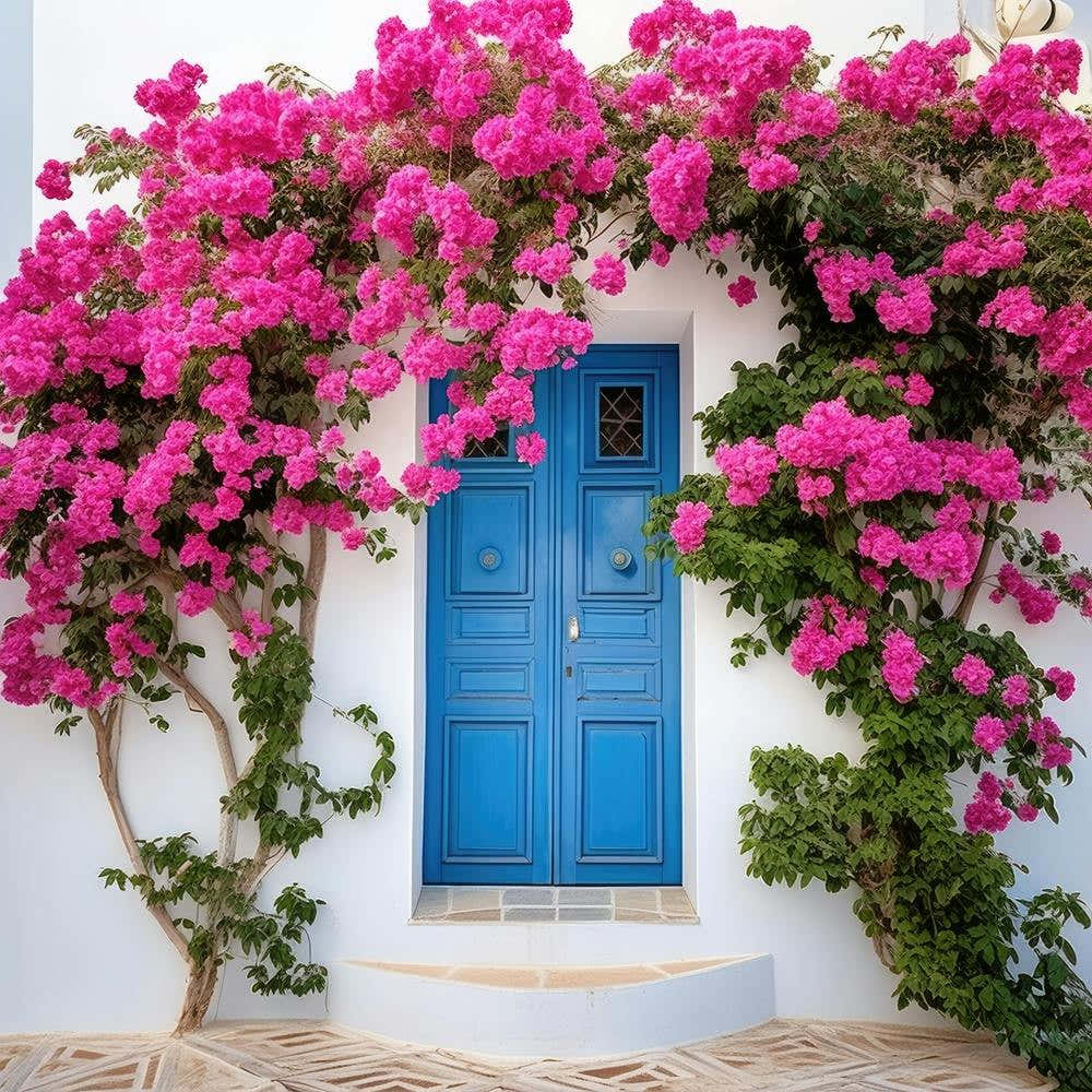 Blue Door With Pink Bougainvillea Flowers