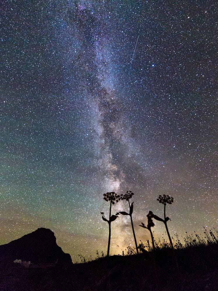 The Milky Way From Montana