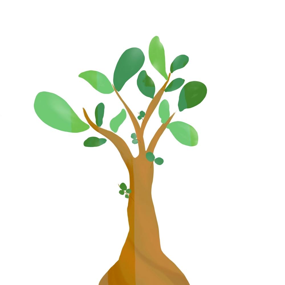 Money Plant Illustration Square