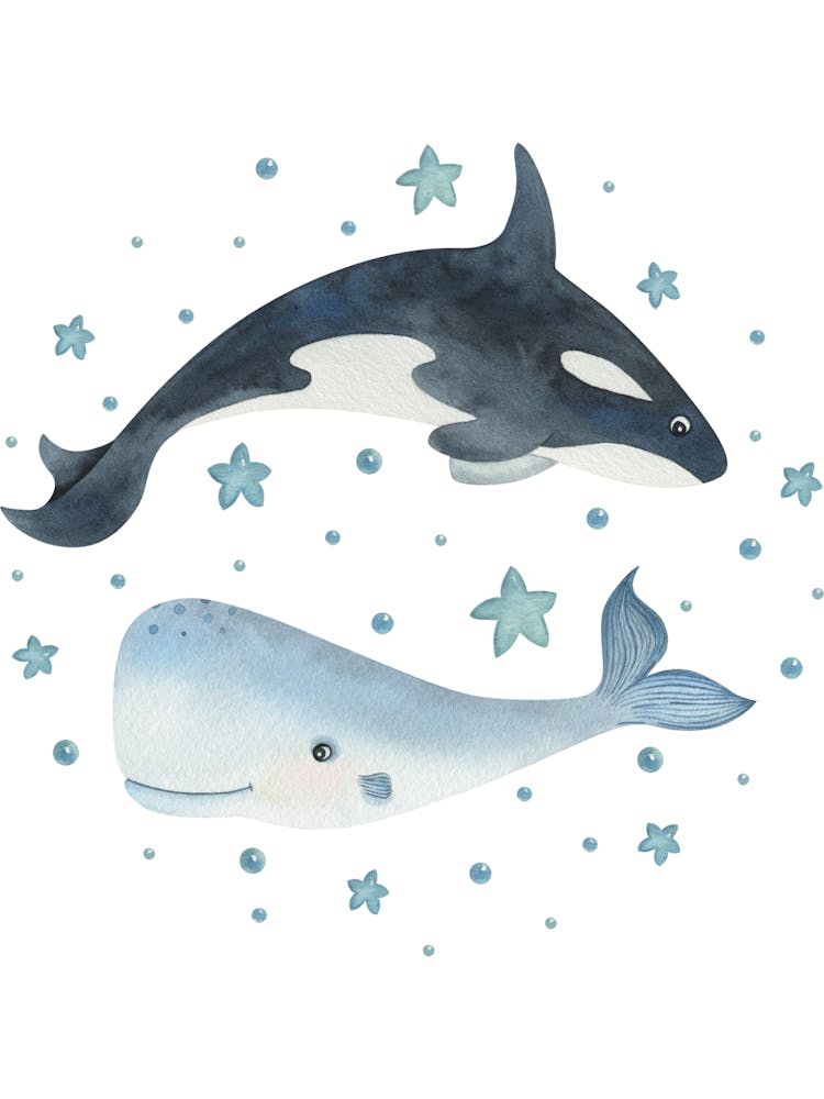 Orca Whale And Starfish