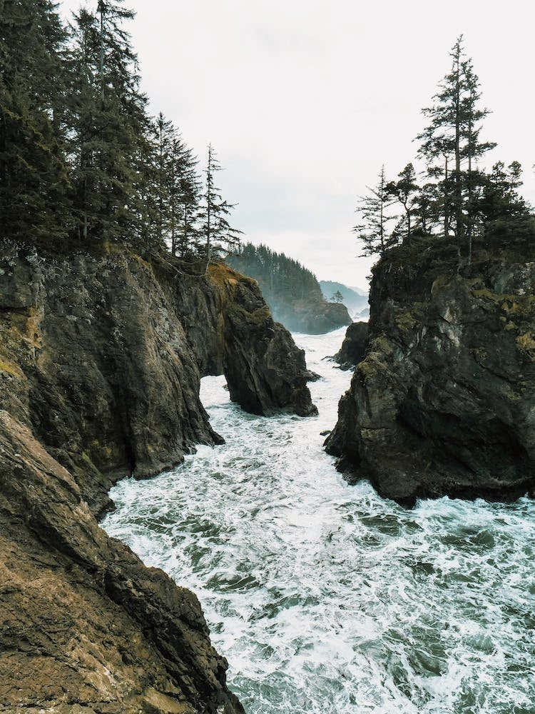 Pnw Ocean Waves