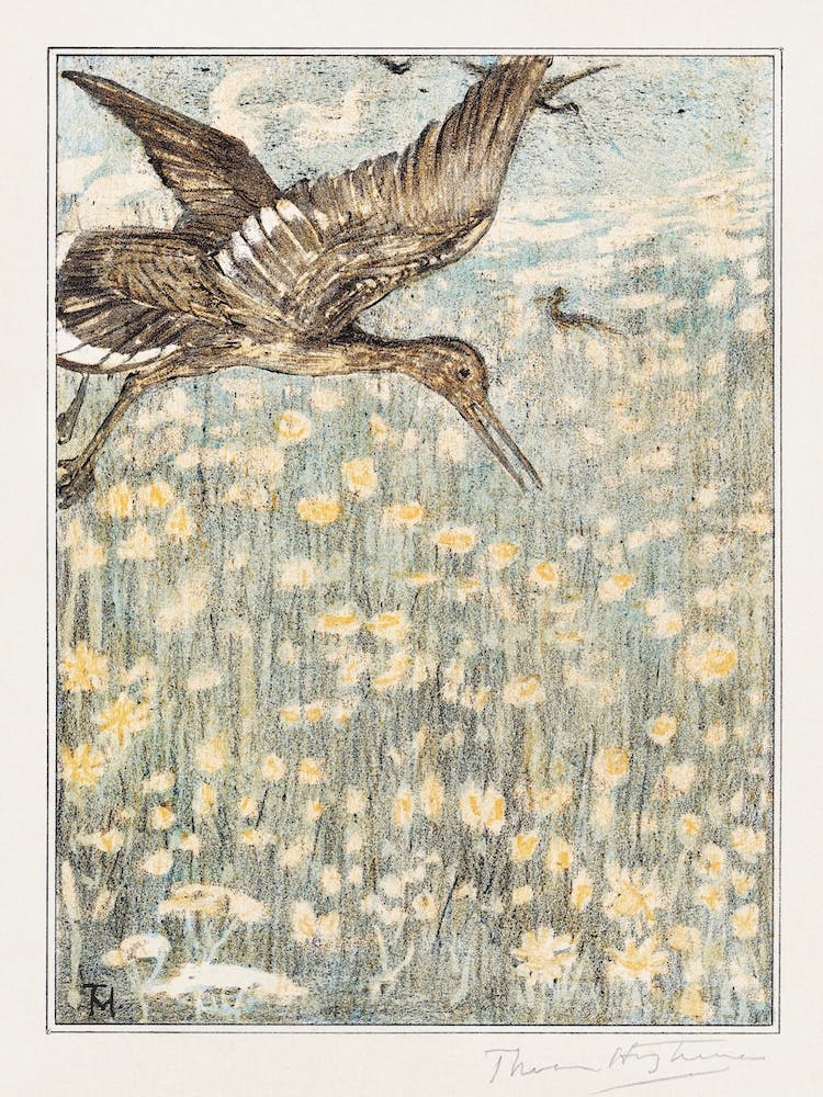 Clock (1878–1907), Theo Van Hoytema