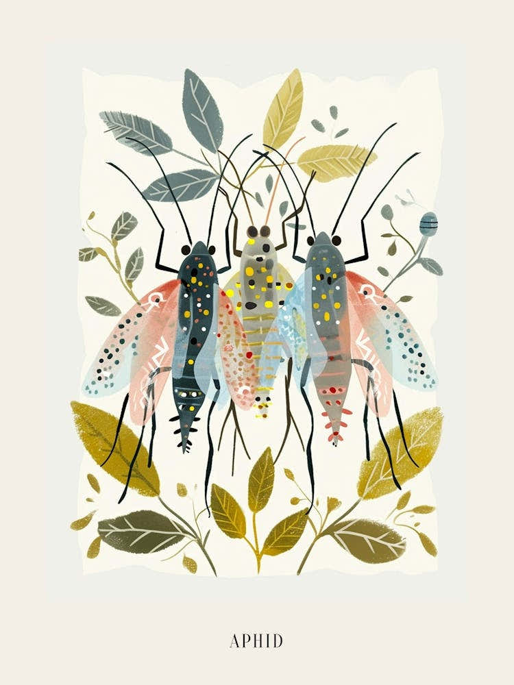 Colourful Insect Illustration Aphid 7 Poster