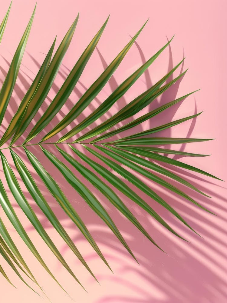 Palm Leaf On Pink Background 4