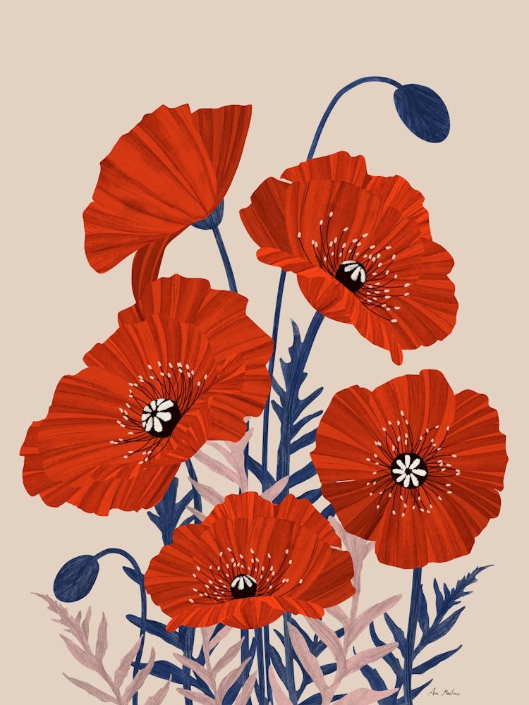 Poppies 1