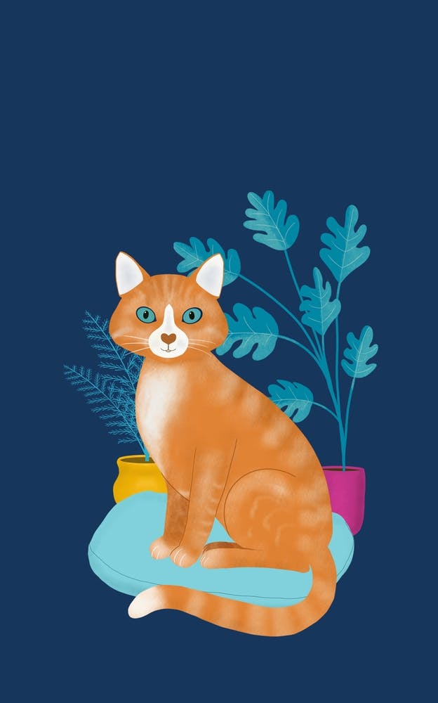 Ginger Tabby Cat With Plants