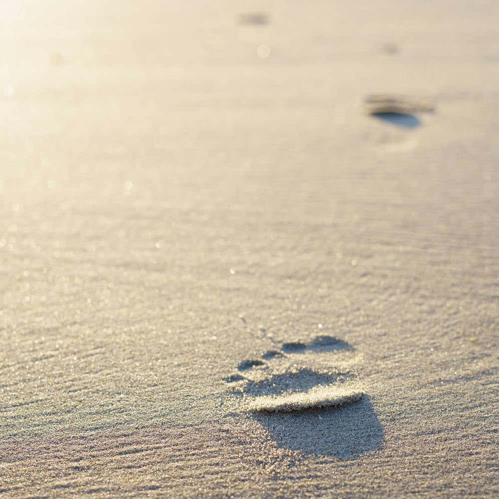 The Footprint In The Sand At The Beach Square