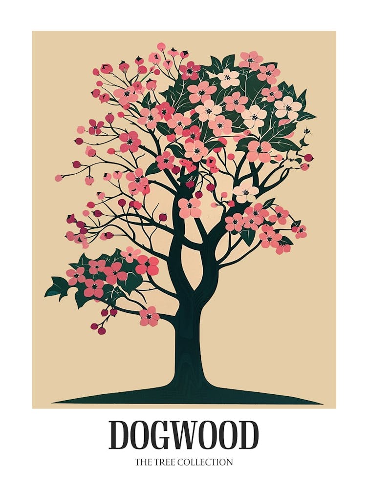 Dogwood Tree Colourful Illustration 3 Poster