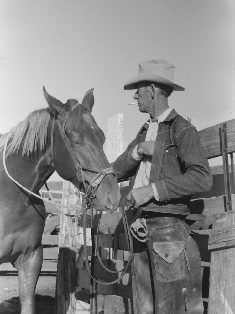 Cattleman With His Horse At Auction, San Angelo, Texas By Russell Lee