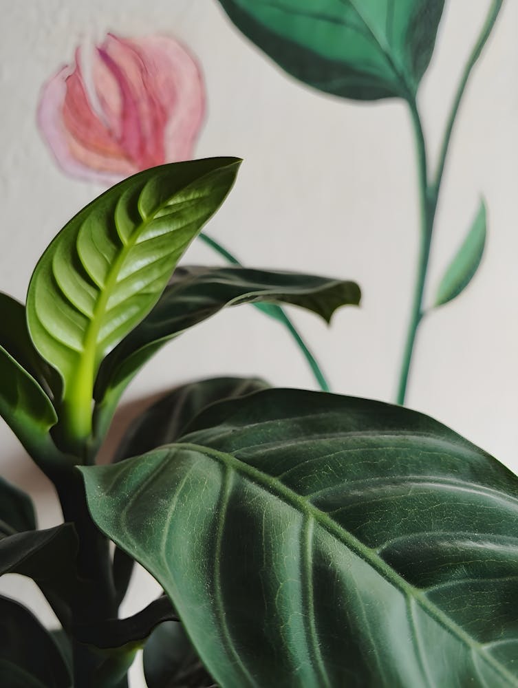 Detailed Calathea Leaf Print - Beautiful Patterned Botanical