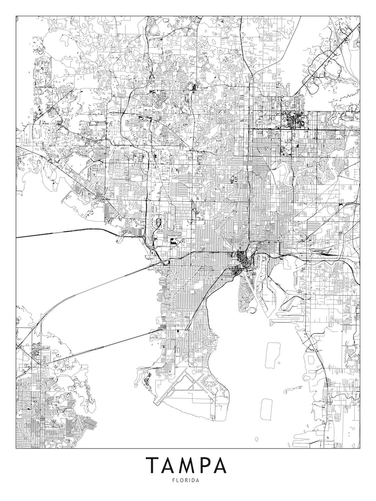 Tampa White Map