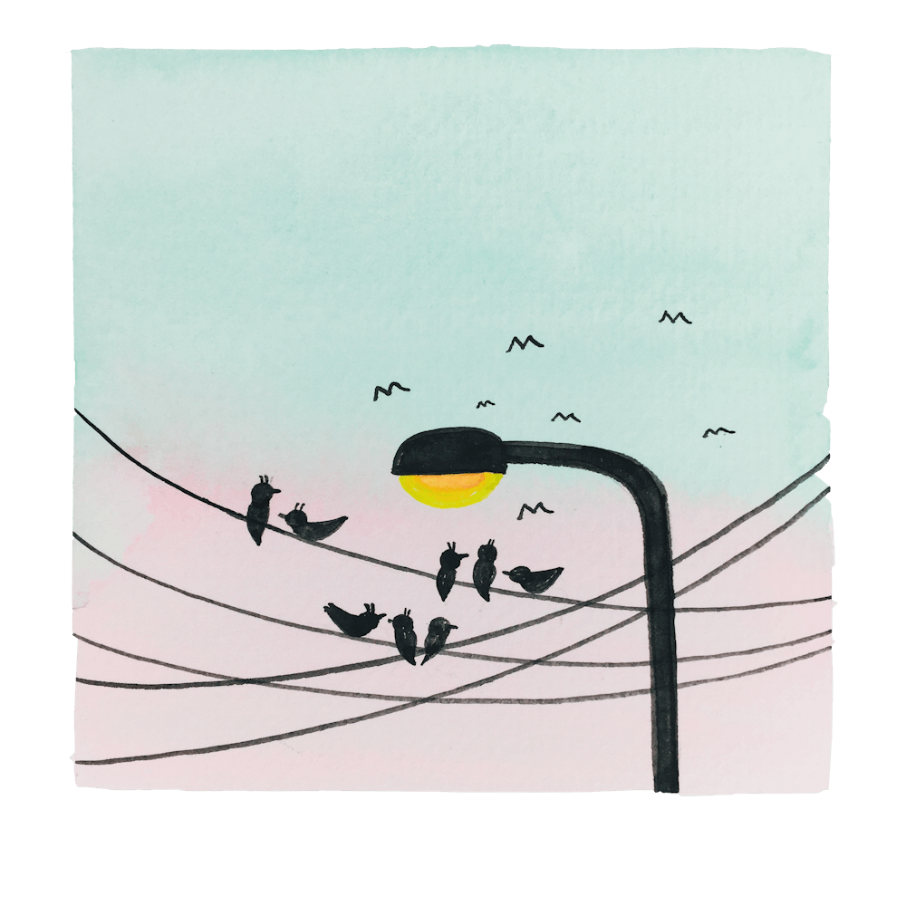 Watercolor Bird Perched On A Lamppost