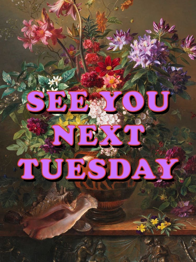 See You Next Tuesday In Colourful Floral
