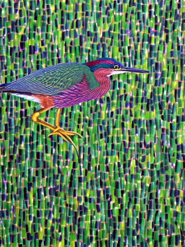 Green Heron Yayoi Kusama Style Illustration Bird