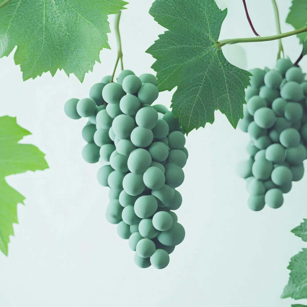 Grapes On A Vine