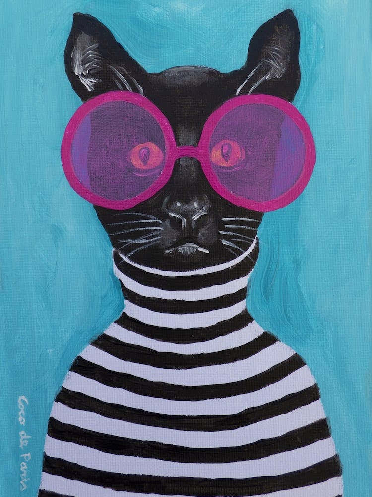 Stripy Black Cat