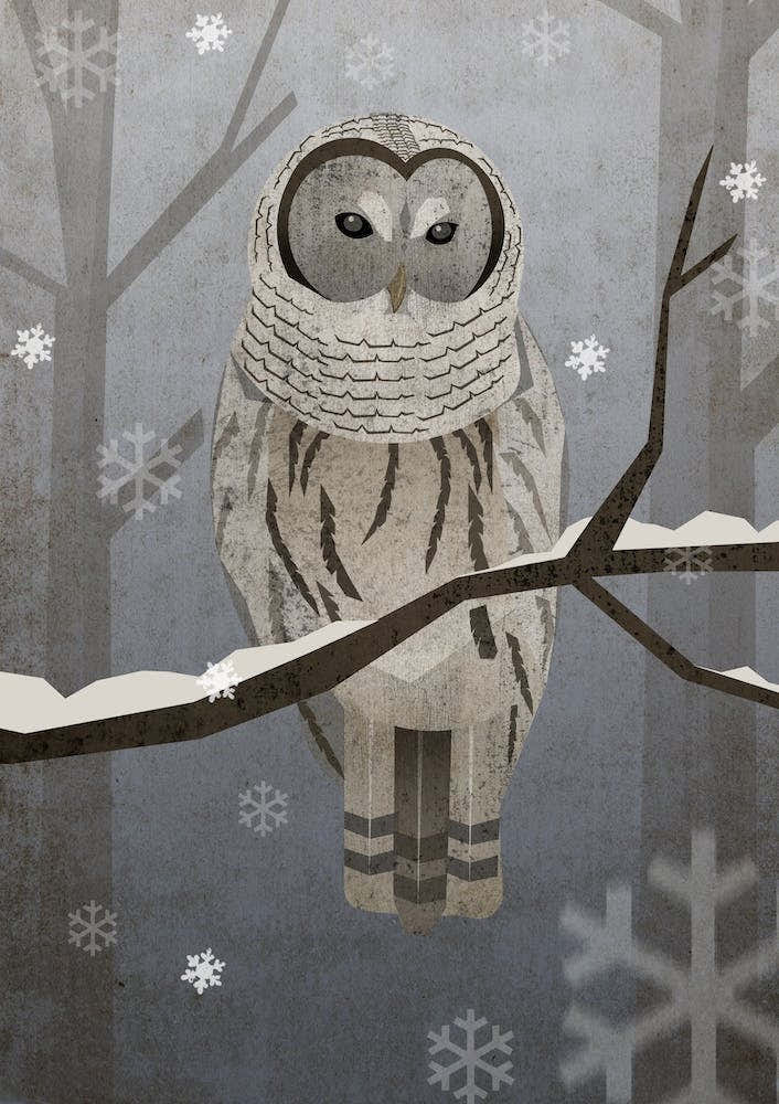 Illu Owl