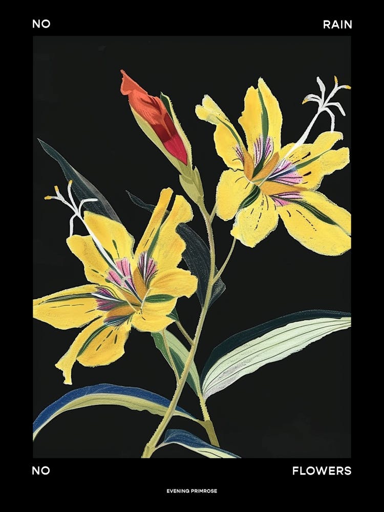 No Rain No Flowers Poster Evening Primrose 4