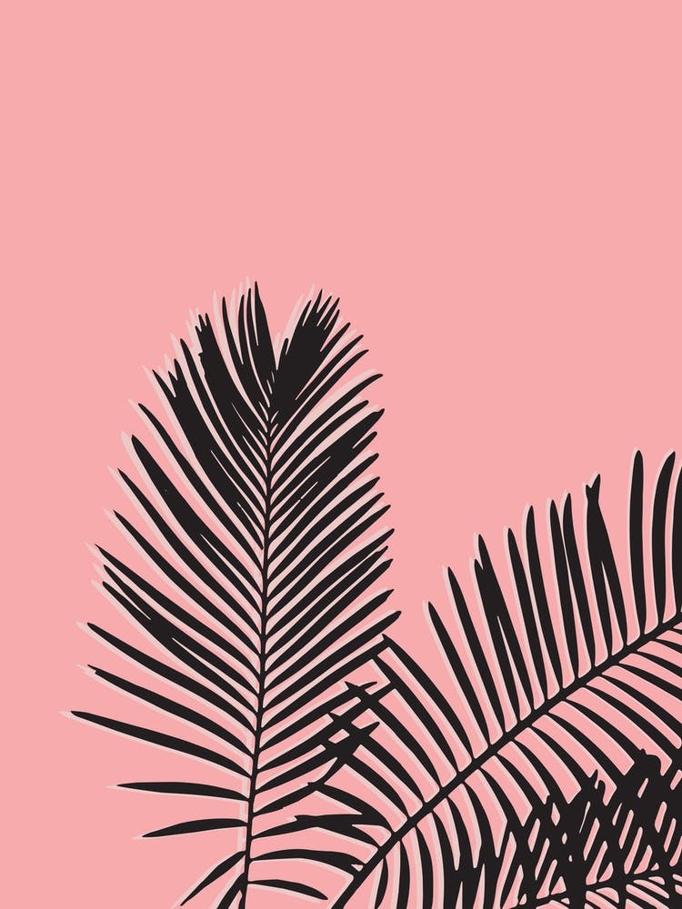 Pink Palm