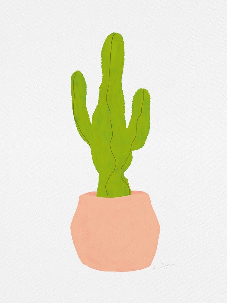 Cactus 2