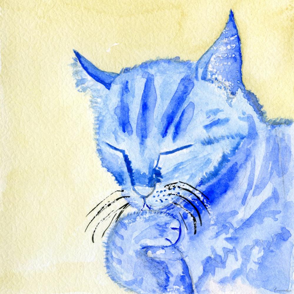 Blue Cat Licking His Paw Watercolor Painting
