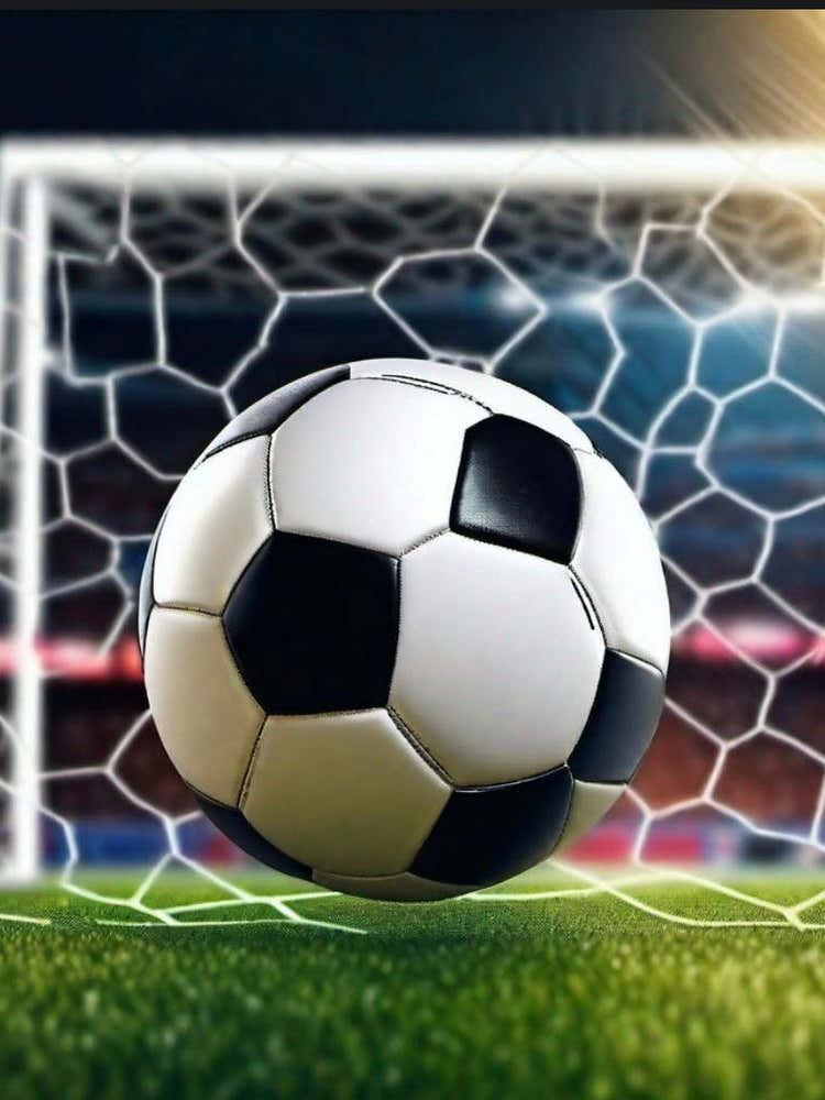 Soccer Ball In The Net