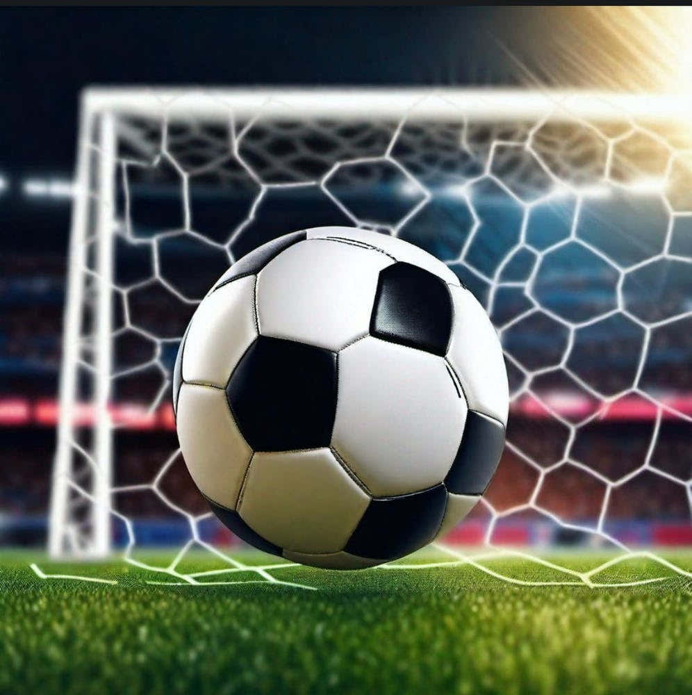 Soccer Ball In The Net