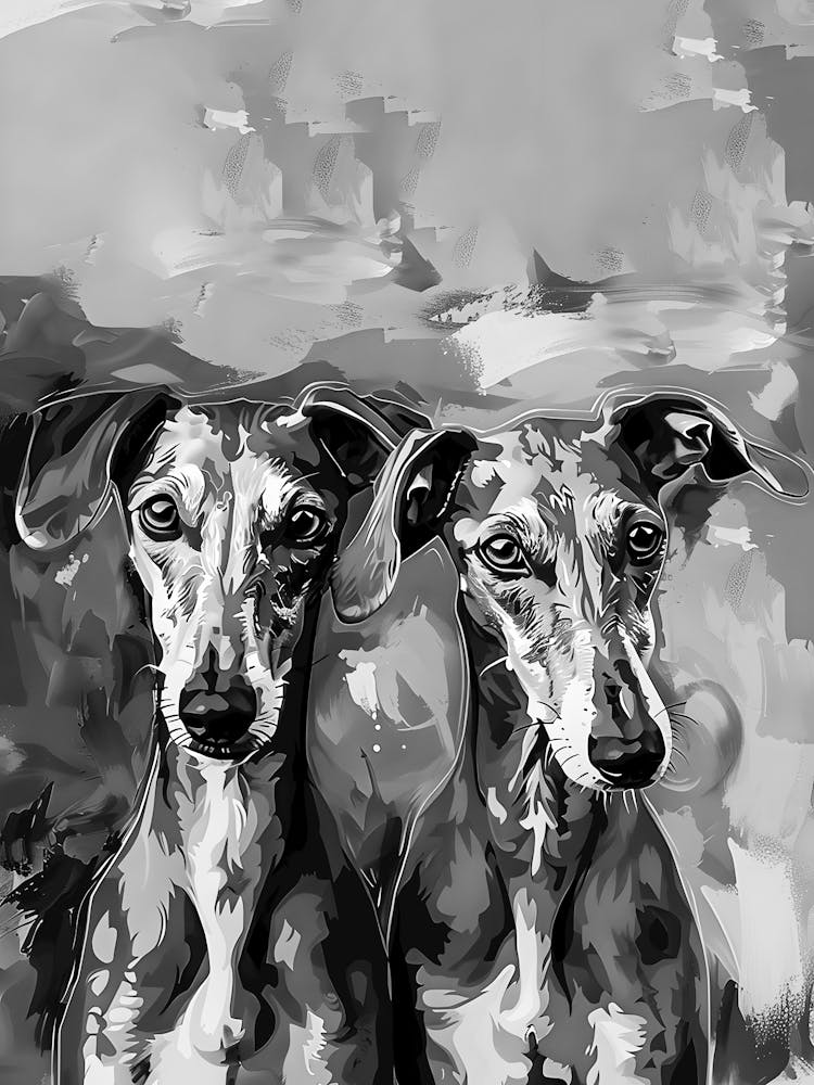 Greyhounds