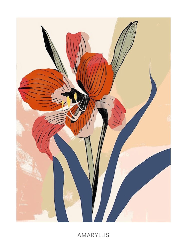 Colourful Flower Illustration Poster Amaryllis 3