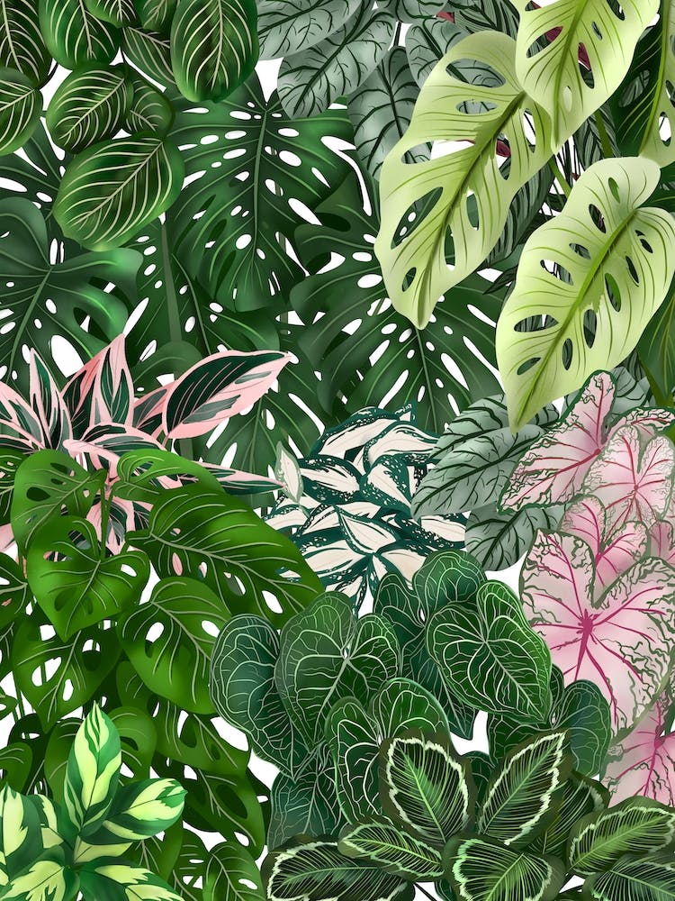 Urban Jungle 7