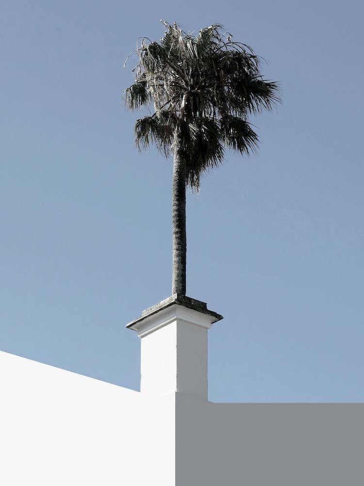 The Short and Tall of It