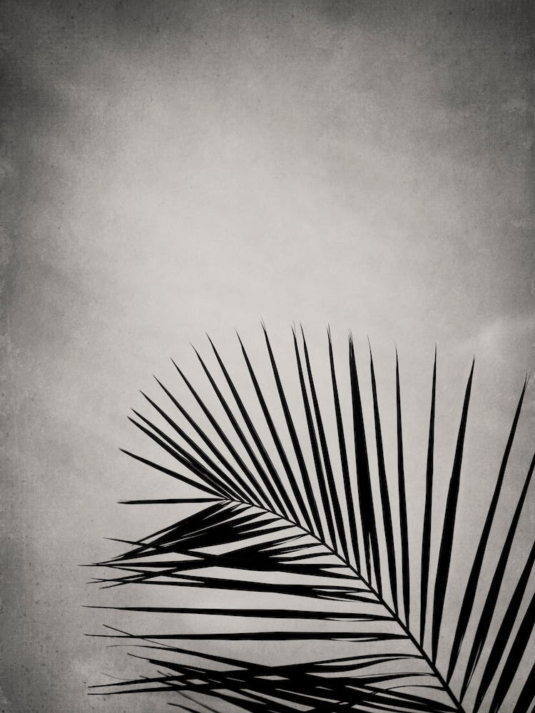 Mansion Of The Sky 2