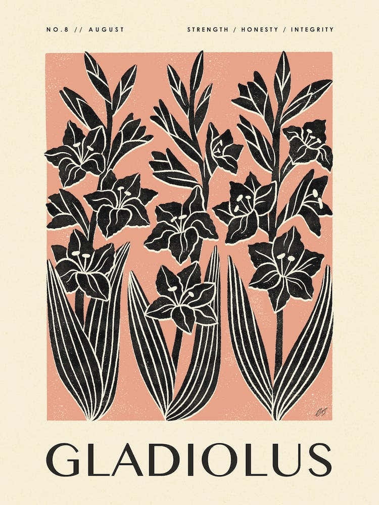 Rustic August Birth Flower Gladiolus Black Rose Pink