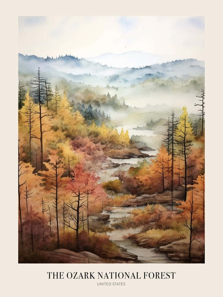 Autumn Forest Landscape The Ozark National Forest Poster